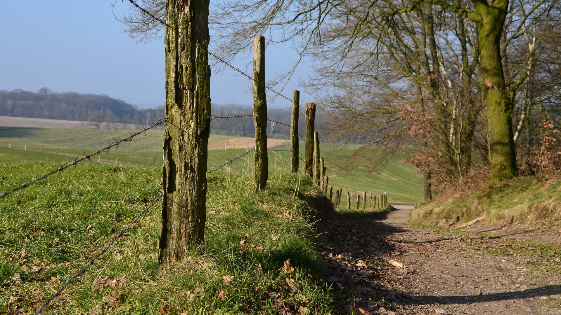 image03