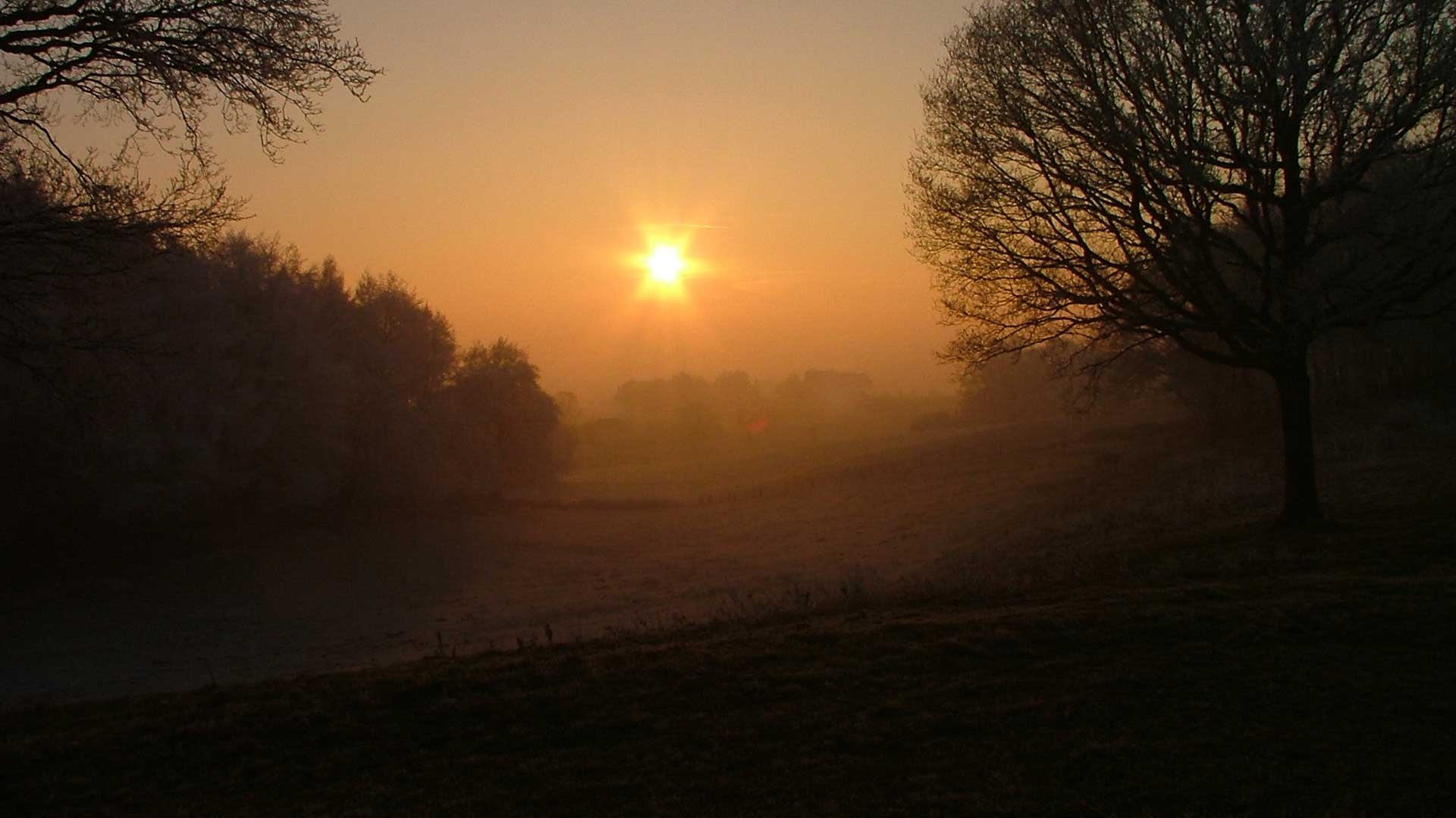 image04