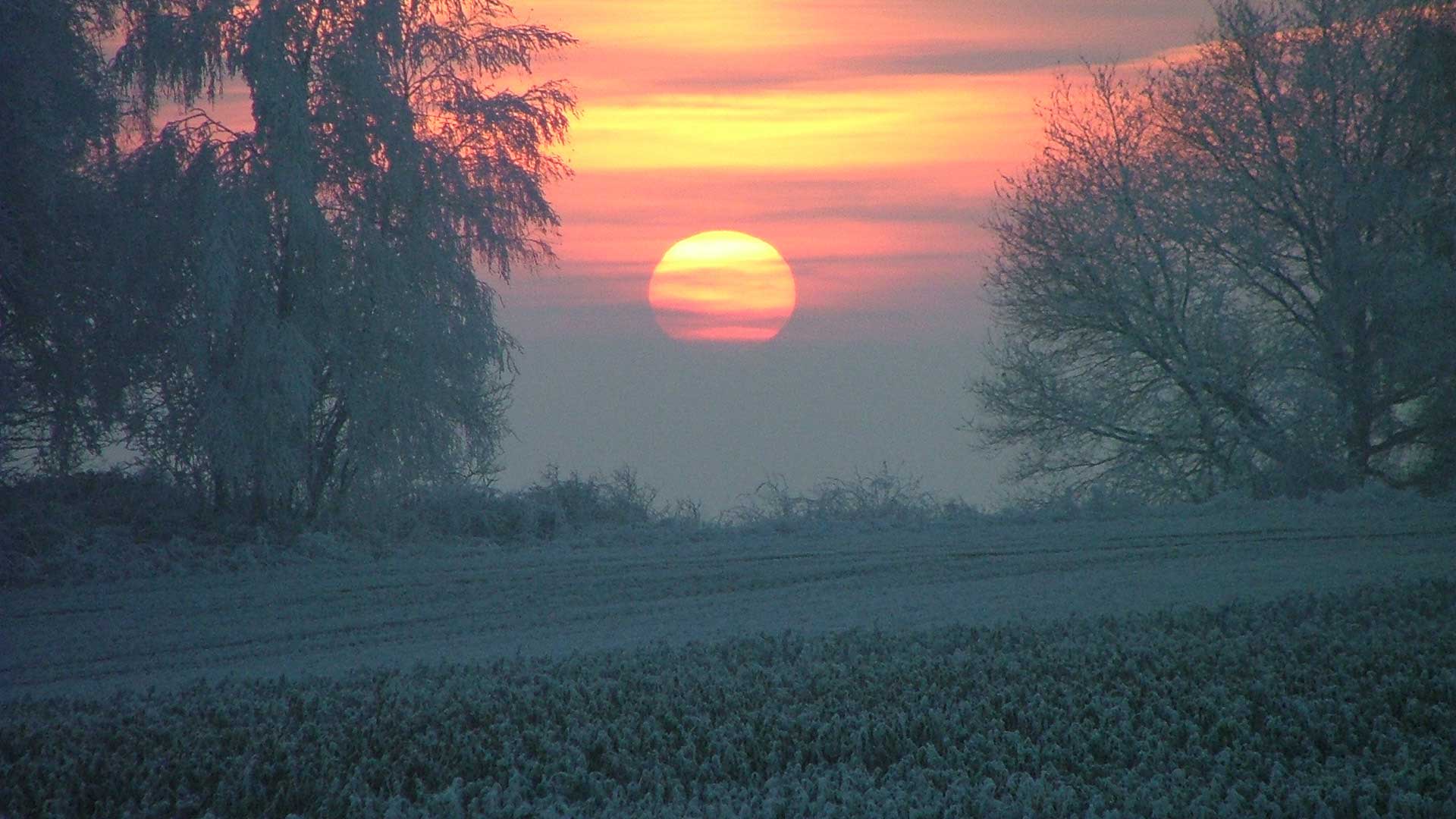 image03